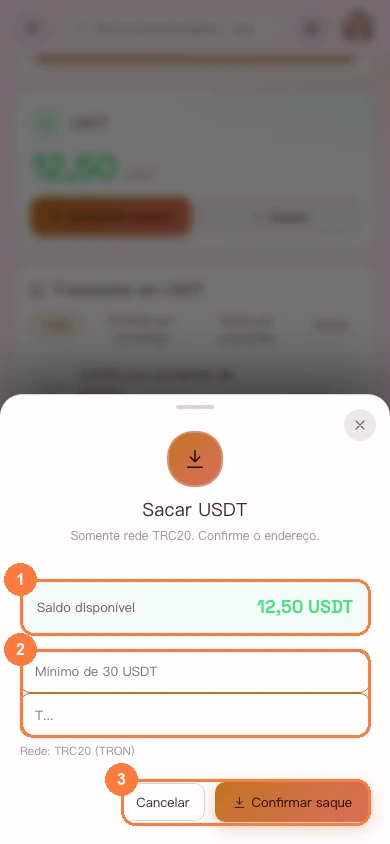 Formulário de saque de USDT na versão para celular